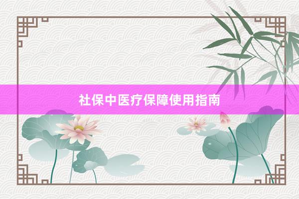 社保中医疗保障使用指南
