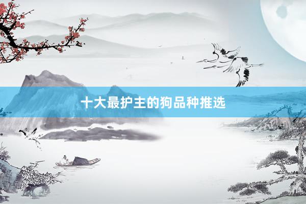 十大最护主的狗品种推选