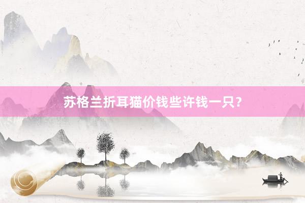 苏格兰折耳猫价钱些许钱一只？