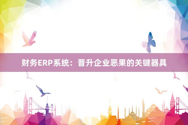 财务ERP系统：晋升企业恶果的关键器具